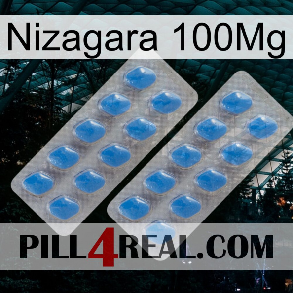 Nizagara 100Mg 23.jpg